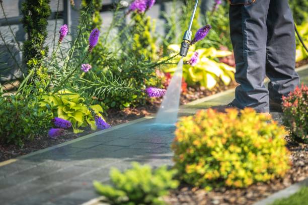 Trusted Marshfield, MO Pressure Washing Services Experts