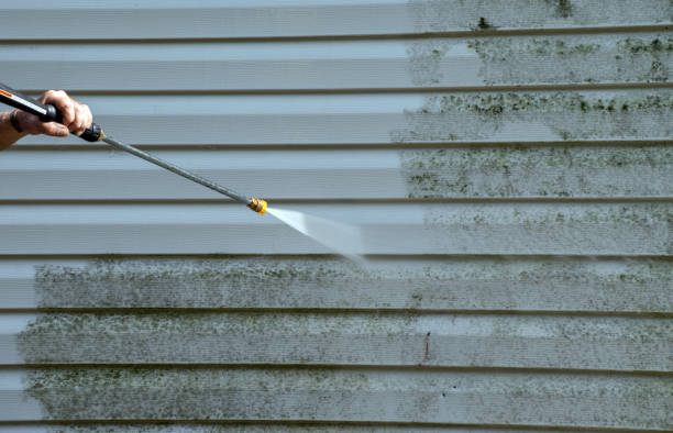 Best Roof Cleaning and Mildew Removal in Marshfield, MO